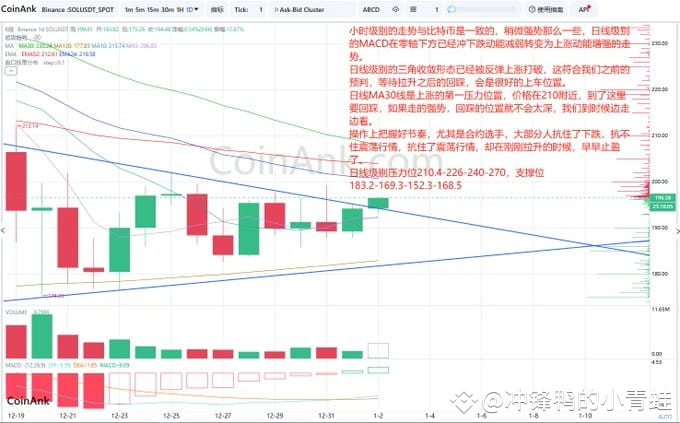 SOL价格深度分析：多空博弈下的机会与风险