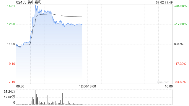 美中嘉和融资租赁协议与区块链技术潜在关联性分析